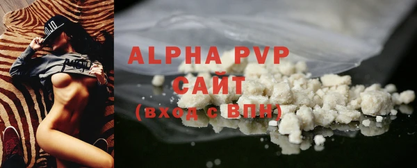 молекула духа Богородицк