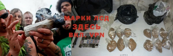 не бодяженный Богданович