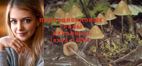 молекула духа Богородицк