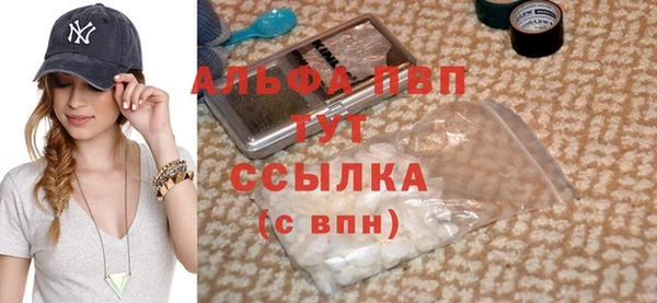 молекула духа Богородицк