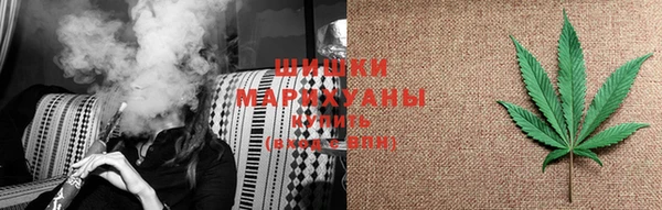 молекула духа Богородицк