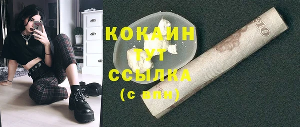 молекула духа Богородицк