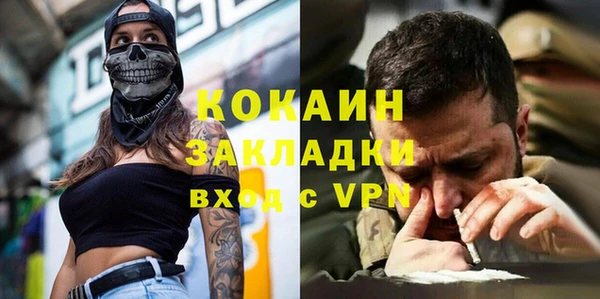 молекула духа Богородицк
