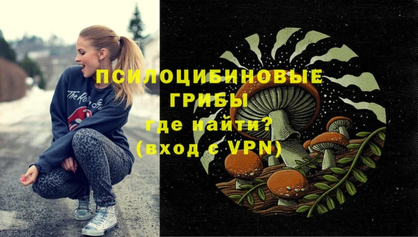 молекула духа Богородицк