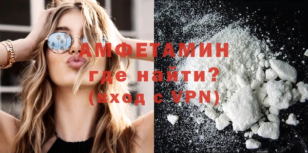 молекула духа Богородицк
